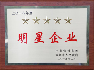 常寶股份榮獲“工業(yè)五星級企業(yè)”、“納稅金獎”等多項大獎156.png